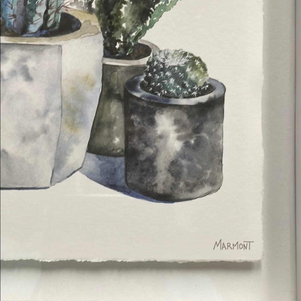 Framed Cactus Art Print - Picture 11 of 13